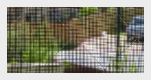 Fotos Mosquiteros